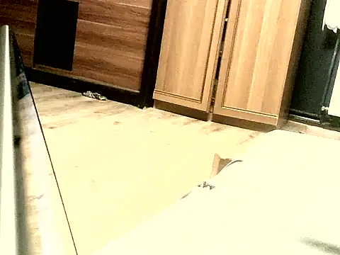 Snapshot of KissMeAss9387 chatting on 09/28/25, 07:08 KissMeAss9387 online show from 09/28/25, 07:08