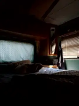 Snapshot of ShawnandDani7074 chatting on 12/20/25, 03:41 ShawnandDani7074 online show from 12/20/25, 03:41