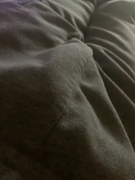 Snapshot of MuzzyFacing chatting on 11/29/25, 12:41 MuzzyFacing online show from 11/29/25, 12:41