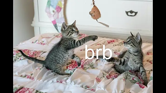 Snapshot of Pink_girl0n chatting on 09/27/25, 04:12 Pink girl0n online show from 09/27/25, 04:12