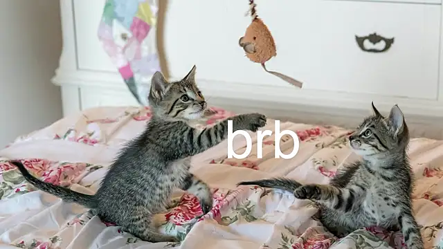 Pink girl0n online show from 03/25/26, 11:44