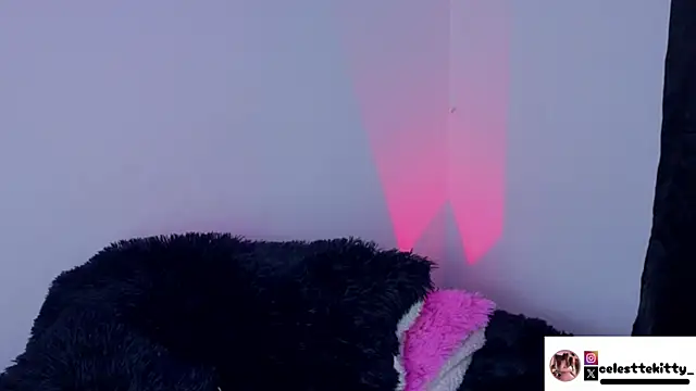 Snapshot of celestte_evans_1 chatting on 02/08/26, 06:17 celestte evans 1 online show from 02/08/26, 06:17