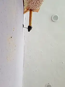 Snapshot of funcreat chatting on 09/11/25, 11:54 funcreat online show from 09/11/25, 11:54