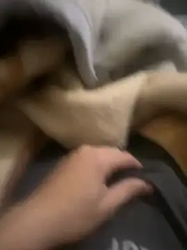 zackria online show from 12/20/25, 12:29