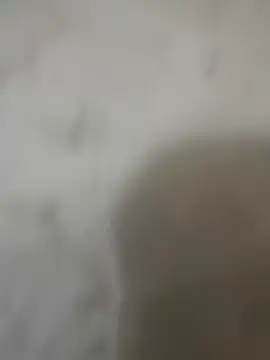 zackria online show from 12/23/25, 12:30