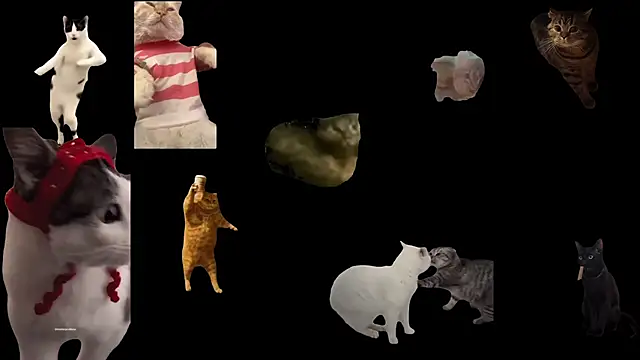 ch0wn m online show from 11/18/25, 03:38