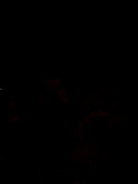 Lujor online show from 04/17/26, 10:57