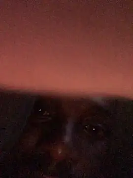 Snapshot of cuminsidebby chatting on 04/17/26, 04:15 cuminsidebby online show from 04/17/26, 04:15