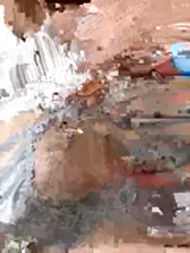 tw swag online show from 01/06/26, 07:45