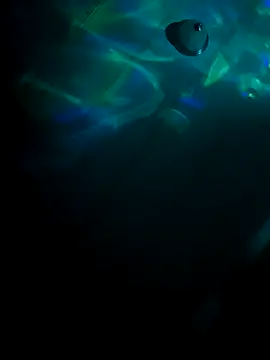 tyrek5051 online show from 10/31/25, 07:20