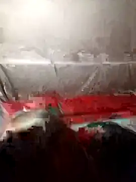 tdtd98 online show from 02/21/26, 03:46