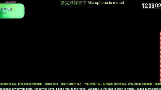 tw239398 online show from 02/19/26, 04:08