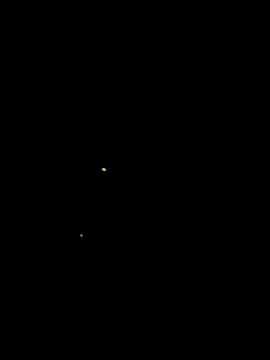 Mumuska online show from 01/16/26, 11:20