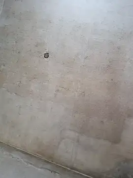 Sgaf39 online show from 09/14/25, 11:42