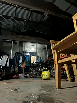 Sunny lotus online show from 10/21/25, 06:52