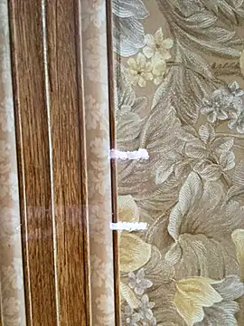 Snapshot of Julia-Elsa chatting on 11/02/25, 03:53 Julia-Elsa online show from 11/02/25, 03:53