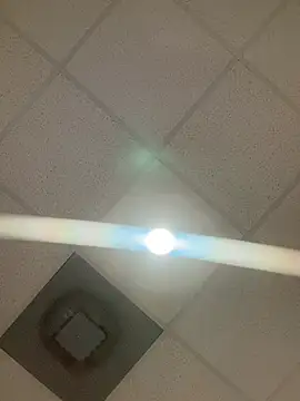 Snapshot of honestlychina chatting on 04/13/26, 09:15 honestlychina online show from 04/13/26, 09:15