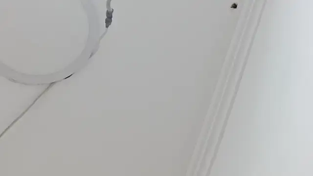 Atley Dolly online show from 09/21/25, 09:38