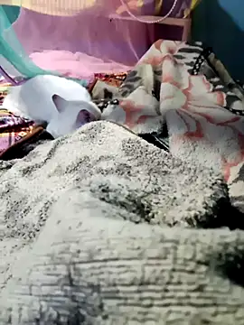 Snapshot of m11a2f3a4z5 chatting on 02/14/26, 11:51 m11a2f3a4z5 online show from 02/14/26, 11:51