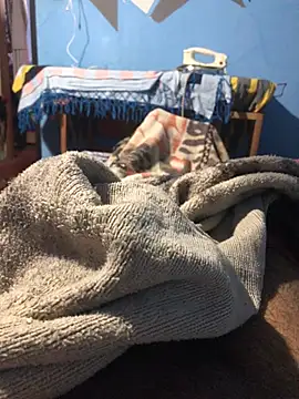 Snapshot of m11a2f3a4z5 chatting on 03/22/26, 12:52 m11a2f3a4z5 online show from 03/22/26, 12:52