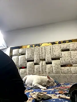 DayanaDG online show from 01/09/26, 05:54