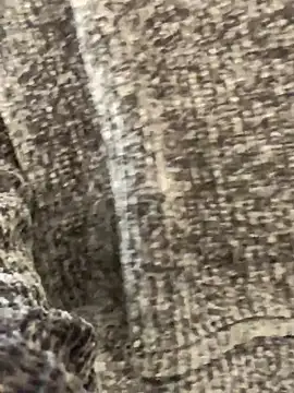 Snapshot of sunset24 chatting on 10/13/25, 08:58 sunset24 online show from 10/13/25, 08:58