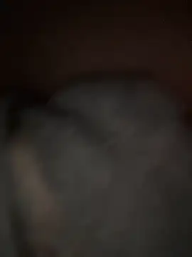 Snapshot of sunset24 chatting on 03/29/26, 12:54 sunset24 online show from 03/29/26, 12:54