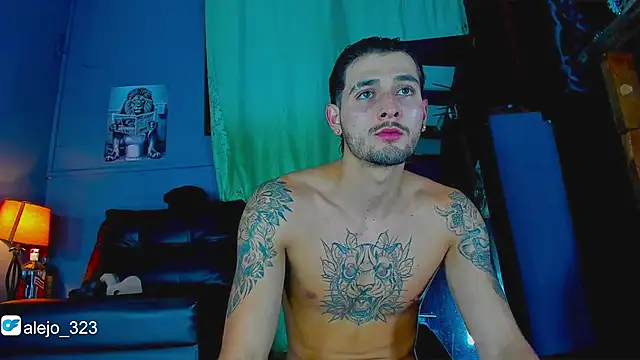 Snapshot of alejo__323__ chatting on 10/24/25, 02:08 alejo  323   online show from 10/24/25, 02:08