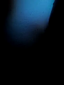 Mancho2289 online show from 04/13/26, 04:40