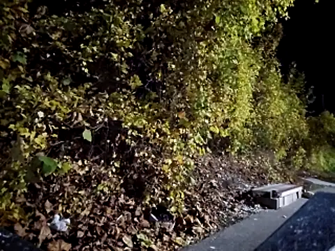 Snapshot of sloppytopkins chatting on 11/06/25, 08:15 sloppytopkins online show from 11/06/25, 08:15