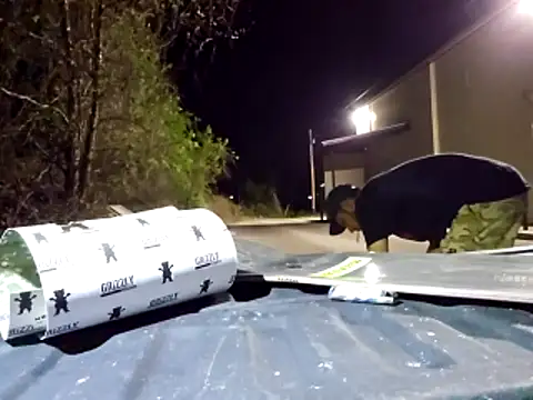 Snapshot of sloppytopkins chatting on 04/11/26, 06:07 sloppytopkins online show from 04/11/26, 06:07