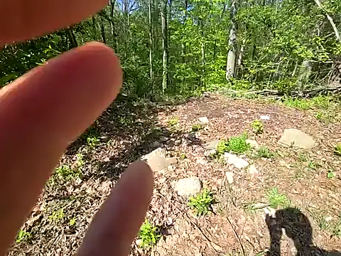 Snapshot of sloppytopkins chatting on 04/20/26, 02:42 sloppytopkins online show from 04/20/26, 02:42