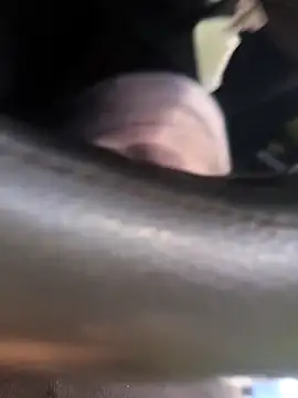 Snapshot of Frank0021 chatting on 11/04/25, 05:34 Frank0021 online show from 11/04/25, 05:34