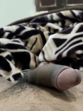 Bull54321 online show from 02/14/26, 06:54