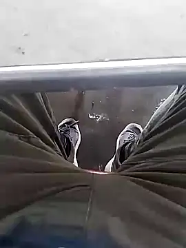 Snapshot of Aliyeni1 chatting on 12/01/25, 09:25 Aliyeni1 online show from 12/01/25, 09:25