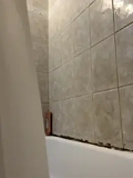 1mistaGoodWood online show from 11/30/25, 01:26