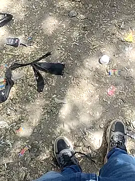 indian pavi online show from 02/03/26, 07:24