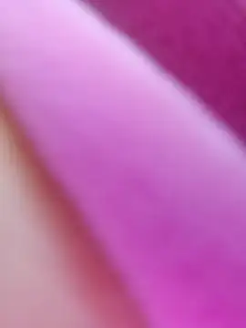 Snapshot of ShineBright88 chatting on 10/30/25, 12:06 ShineBright88 online show from 10/30/25, 12:06