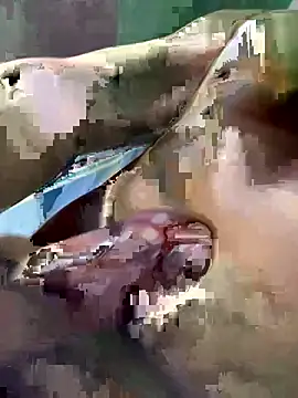 Snapshot of Huynh-duc-huy chatting on 02/05/26, 07:24 Huynh-duc-huy online show from 02/05/26, 07:24