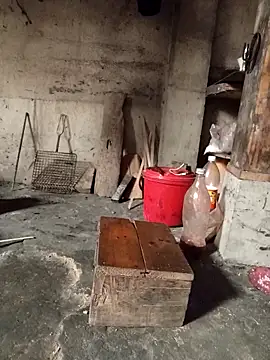 TinTin321 online show from 03/03/26, 05:24