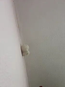 saranghae  online show from 03/02/26, 03:09