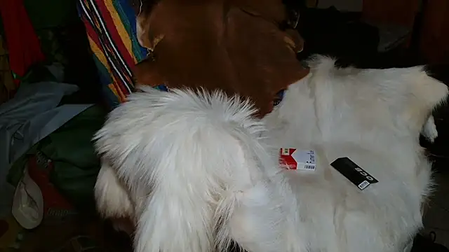 JUSTFORRICH online show from 01/08/26, 10:12