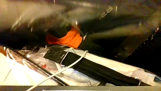 BBCGottii online show from 03/17/26, 05:33