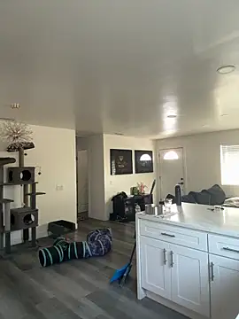 blazeyblake online show from 02/06/26, 04:32