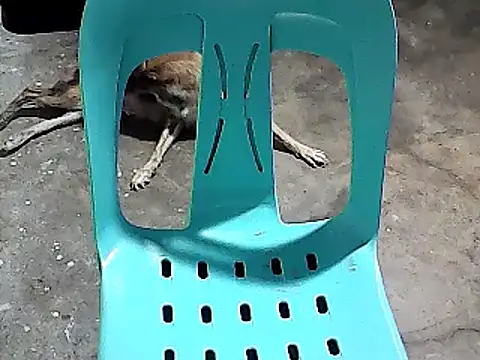 sexyannie25 online show from 11/24/25, 06:18