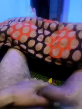 Snapshot of pppppp7811 chatting on 02/14/26, 05:43 pppppp7811 online show from 02/14/26, 05:43