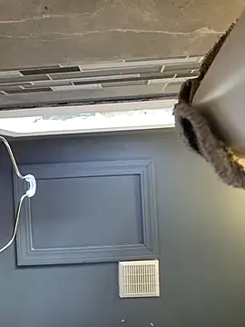 Snapshot of chocolate_bella chatting on 03/28/26, 12:49 chocolate bella online show from 03/28/26, 12:49