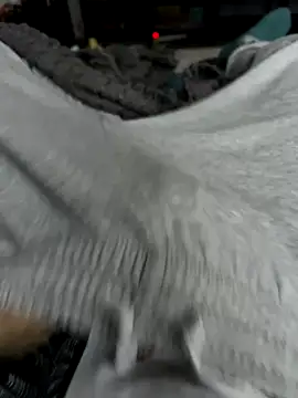 Frankieyyy1 online show from 11/28/25, 07:44