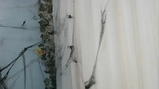 angelainparis28 online show from 10/21/25, 01:06