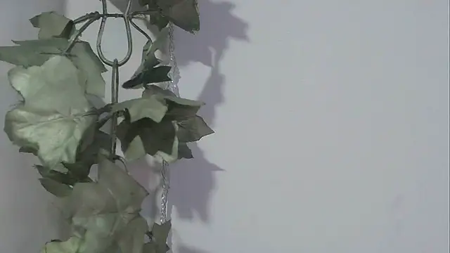 angelainparis28 online show from 11/17/25, 08:25